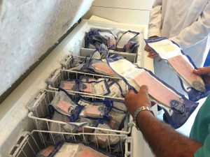 Frigorífico que mantiene todos los productos a -60º