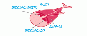 Descargamento del atún rojo