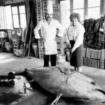 Medio siglo cocinando atún rojo de la almadraba