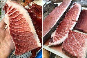 ventresca de atún rojo
